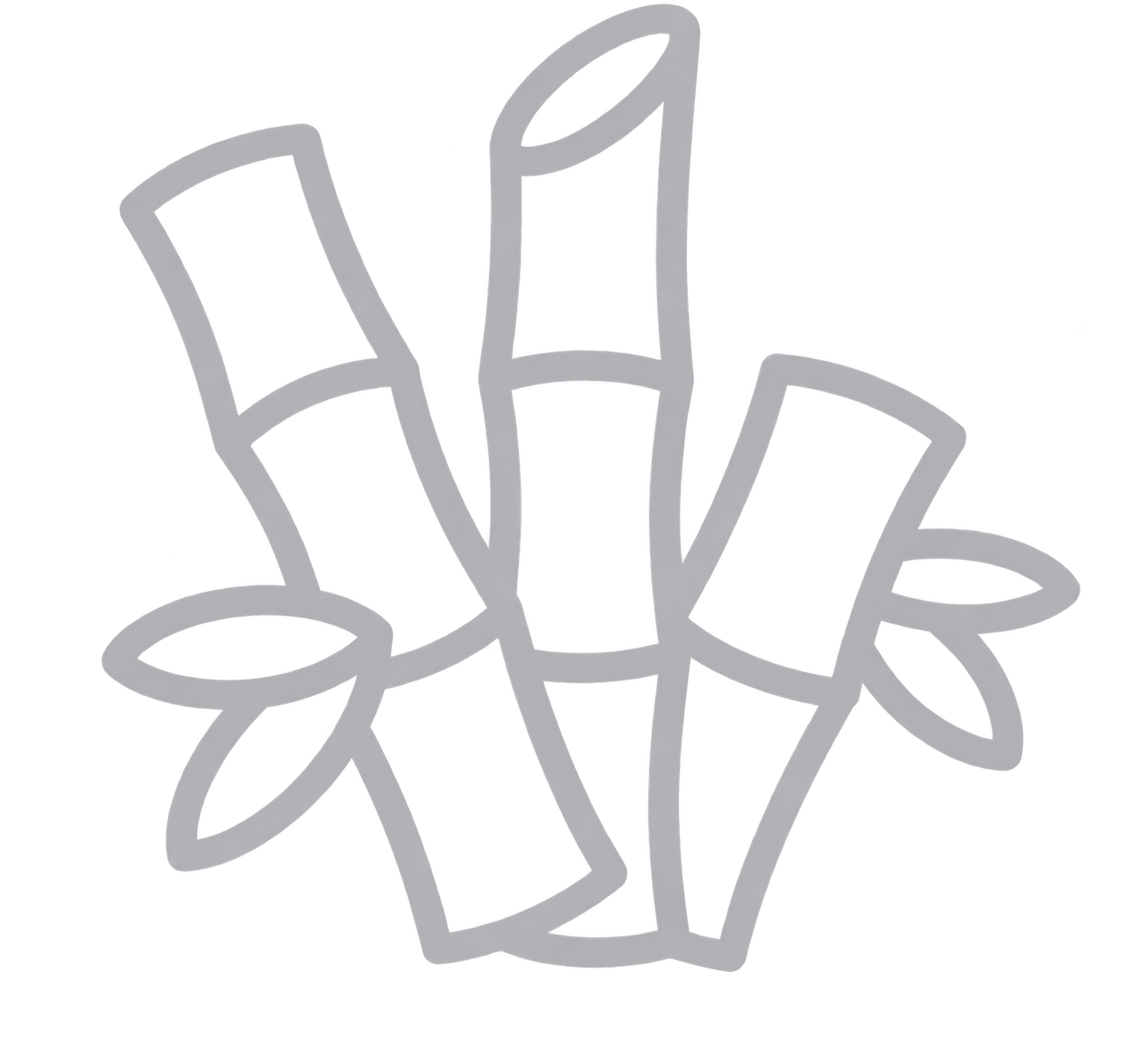 unnamed image